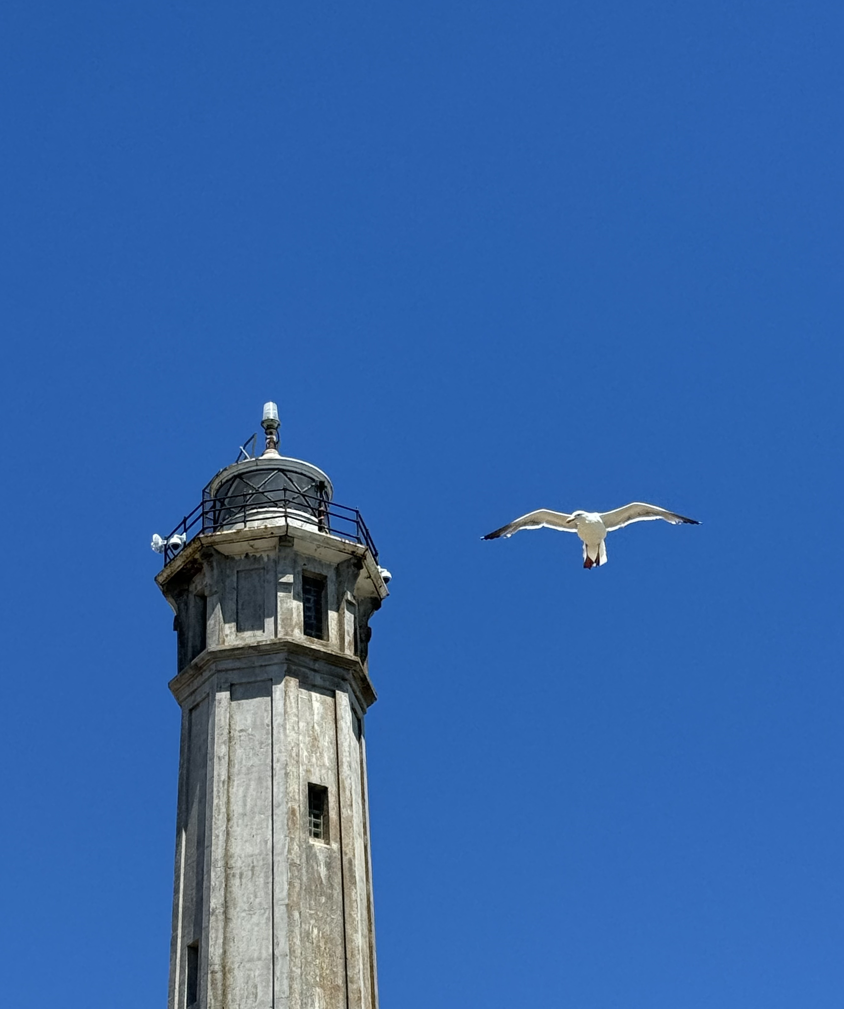 Alcatraz Island, 2024